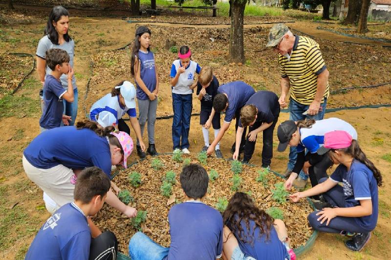 Saiba como visitar o projeto do Horto de Plantas Medicinais da Fundação Allan Kardec